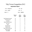 Tidy Towns Report 2013